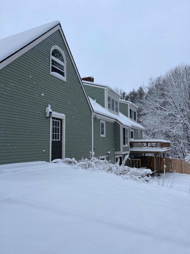 back snow 279