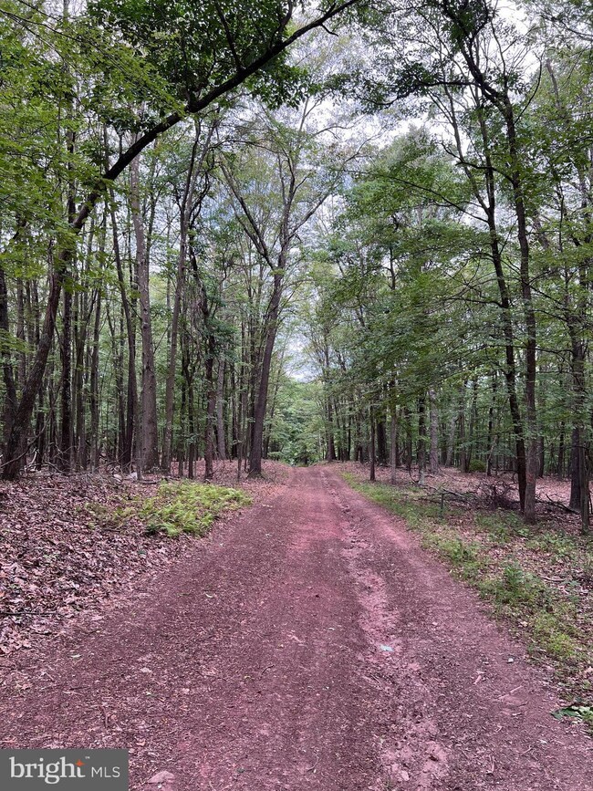0 Gaither Rd unit WVMO2004810, Great Cacapon, WV 25422 - photo 6