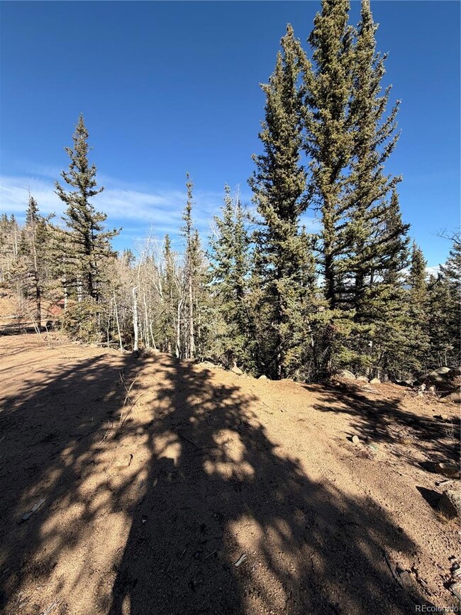 2201 Overland Cir, Jefferson, CO 80456 - photo 7