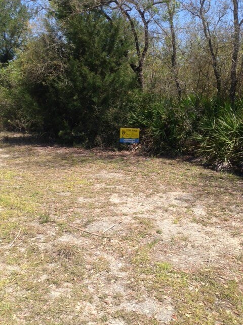 0 Yates Creek Rd unit 268566, Perry, FL 32348 - photo 2