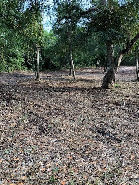 0 12th St, Carrabelle, FL 32322 - photo 3