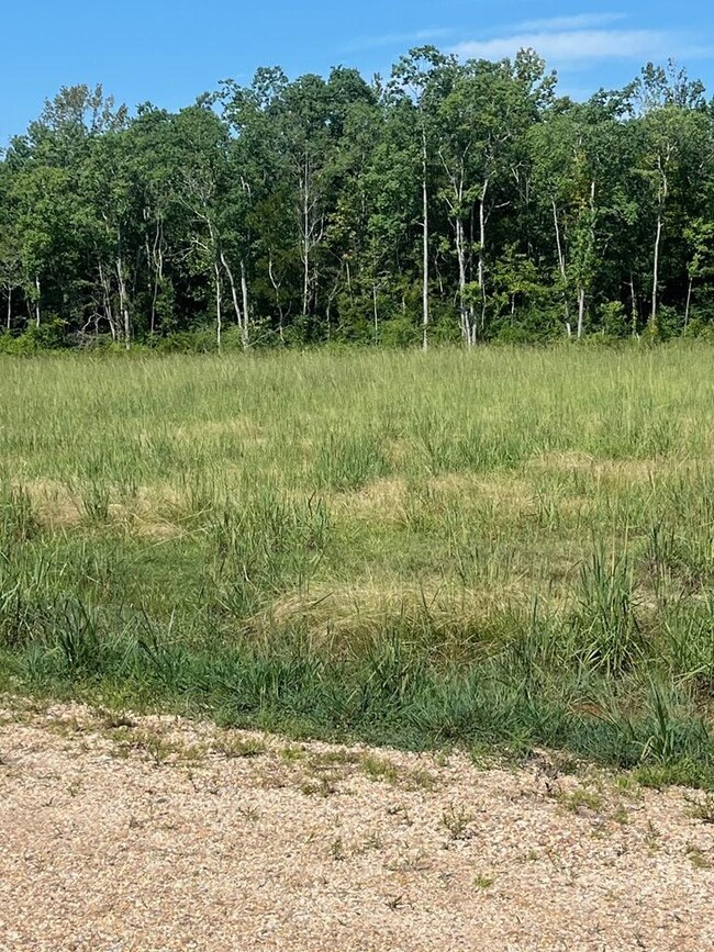 30 SW Meyers Cove, Picayune, MS 39466 - photo 3