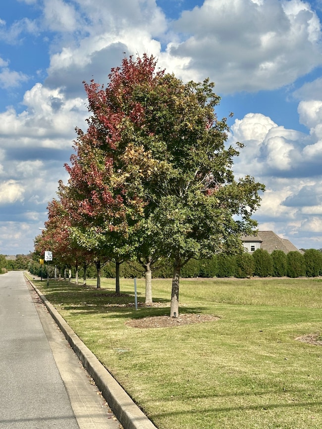 5512 Sinclair St, Murfreesboro, TN 37127 - photo 3