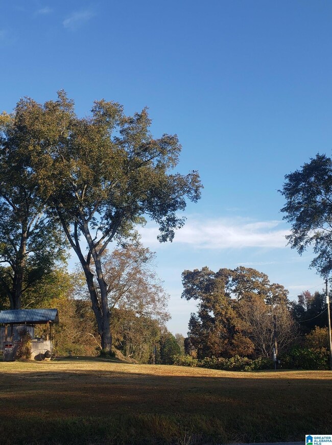 65865 Highway 22, Roanoke, AL 36274 - photo 5