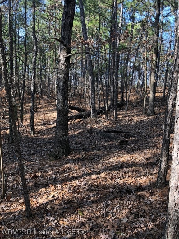 TBD Station Rd, Bokoshe, OK 74930 - photo 6