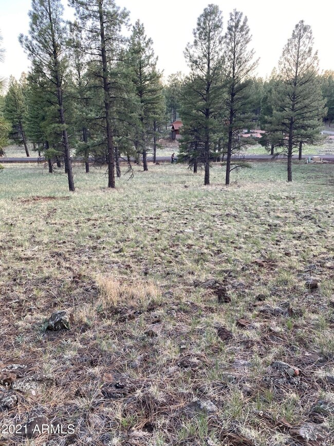 Hiking and Walking Paths