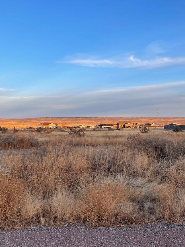 1250 N Starkweather Ln, Pueblo West, CO 81007 - photo 4