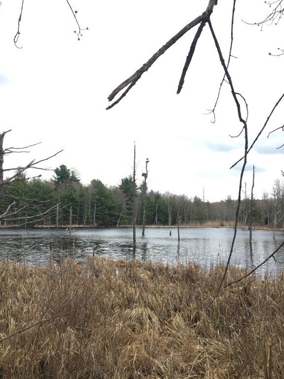 0 S Beech Plain Rd unit 72607085, Sandisfield, MA 01255 - photo 4