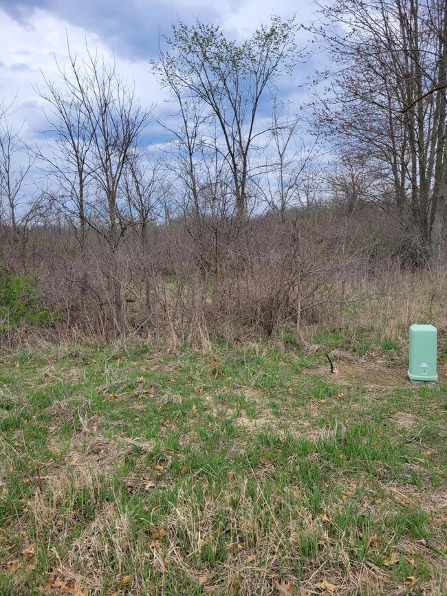 0 Rentz Rd unit 25017889, Ann Arbor, MI 48103 - photo 2