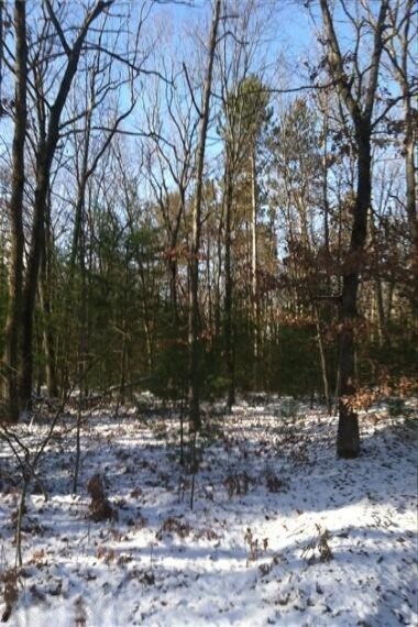 10 Cedar Rd, Lincoln Township, MI 48625 - photo 2