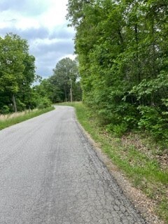 Street view. Level and wooded frontage
