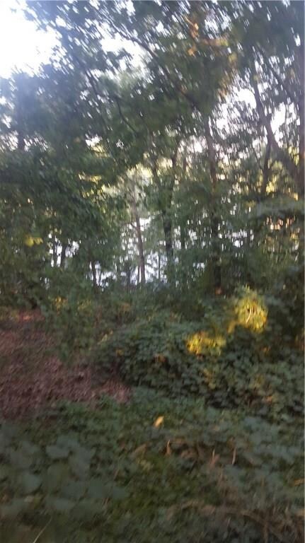 13 Deane Cir, Bella Vista, AR 72715 - photo 3