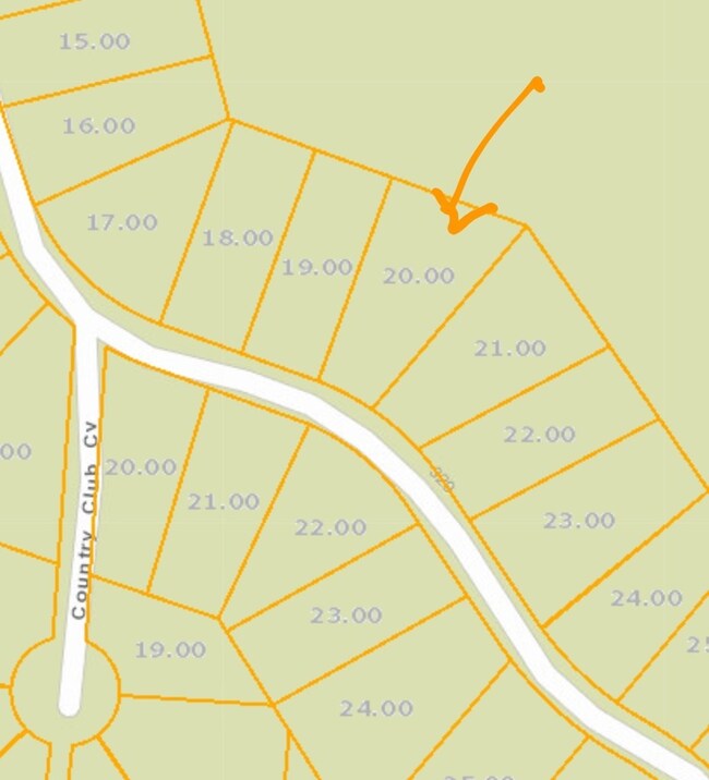 0 Country Club Ln unit 126192, Holladay, TN 38341 - photo 2