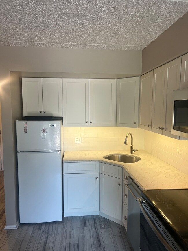255 S West Ave unit 413, Elmhurst, IL 60126 - photo 4