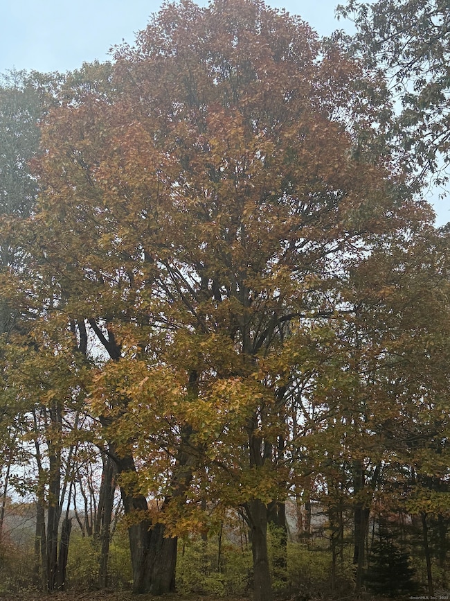 74 Baxter Rd, Storrs Mansfield, CT 06268 - photo 4