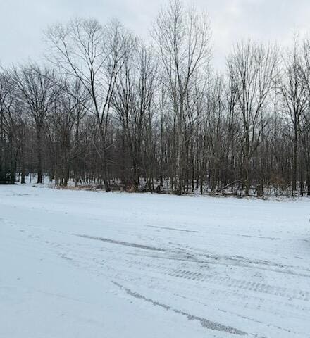 66 Hickory Trail, Grand Blanc, MI 48439 - photo 4