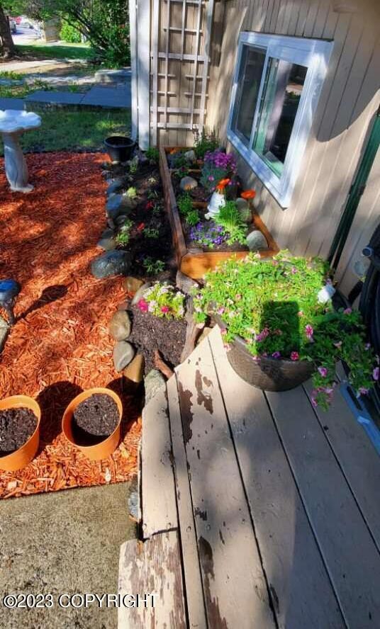 garden 2