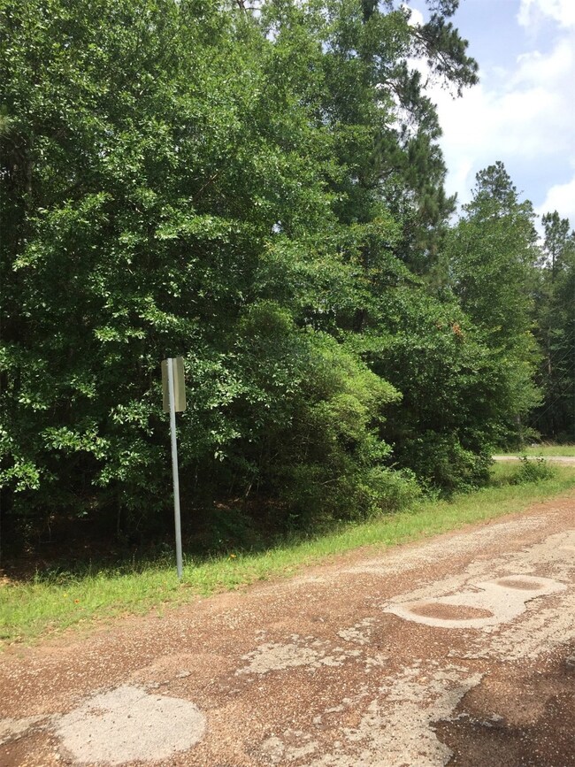 0 King Richards Ct unit 42822552, Hockley, TX 77447 - photo 4