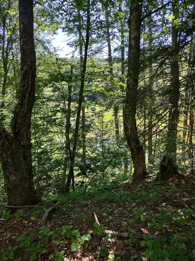 55 Mine Rd unit 17-1, Winchester, NH 03470 - photo 2