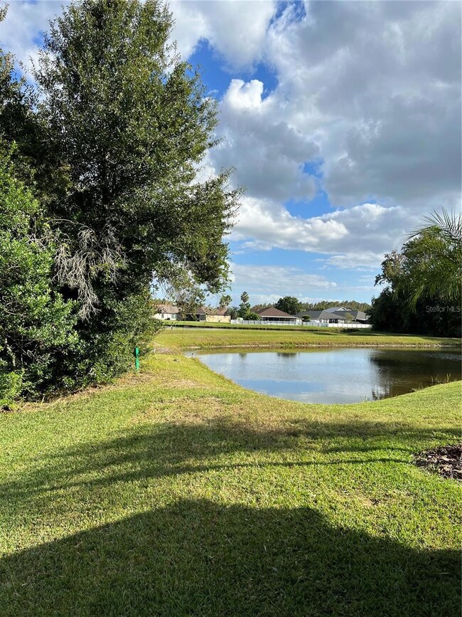 31215 Wrencrest Dr, Wesley Chapel, FL 33543 - photo 6