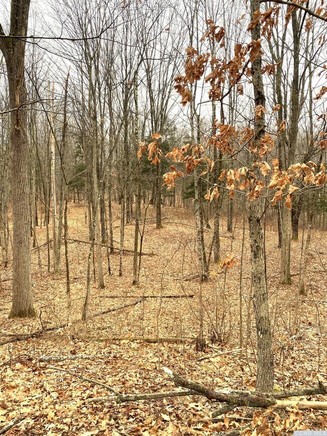 573 Willow Brook Rd, Clinton Corners, NY 12514 - photo 6