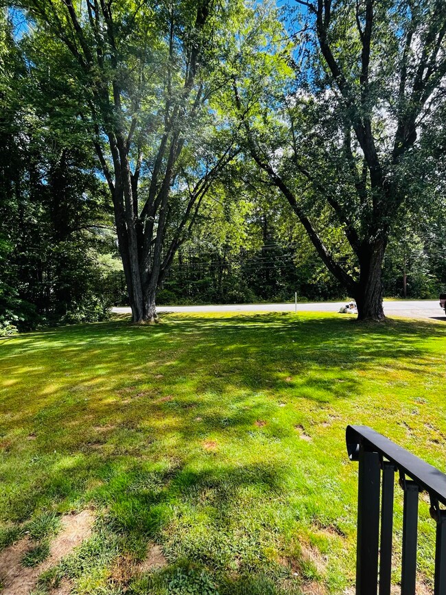 Front Yard