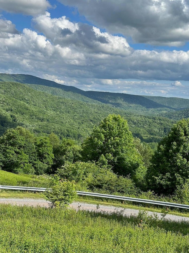 567 Headwaters Rd, Slatyfork, WV 26291 - photo 5