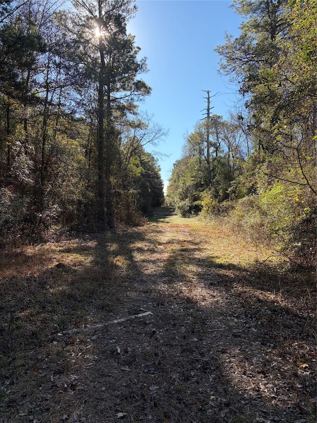 0 Rural unit 21124258, Athens, LA 71003 - photo 2