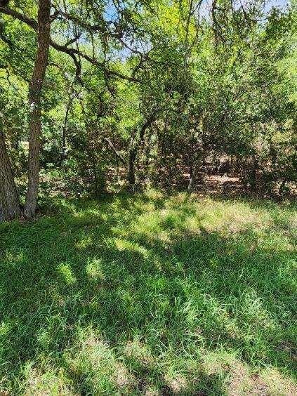 7098 Cedar Valley Dr, Whitney, TX 76692 - photo 7