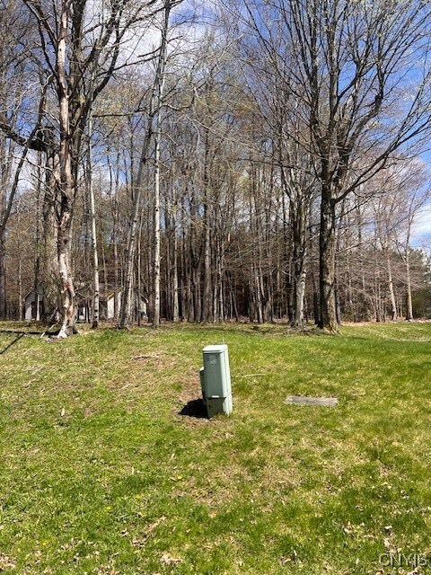 3282 Walden Oaks Blvd, Munsons Corners, NY 13045 - photo 5