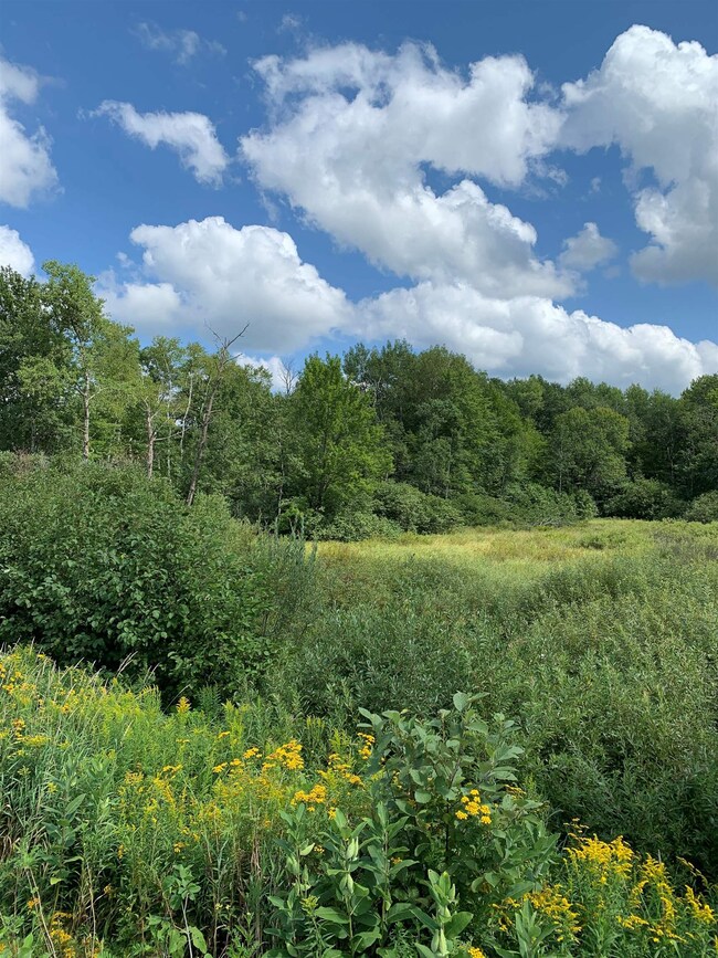 W16471 Old 14 Rd, Rice Lake, WI 54868 - photo 5