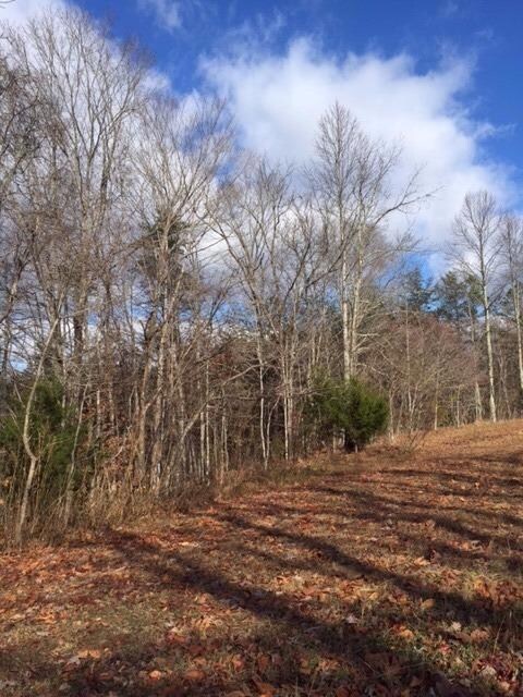 2700 Providence Rd, Somerset, KY 42501 - photo 4