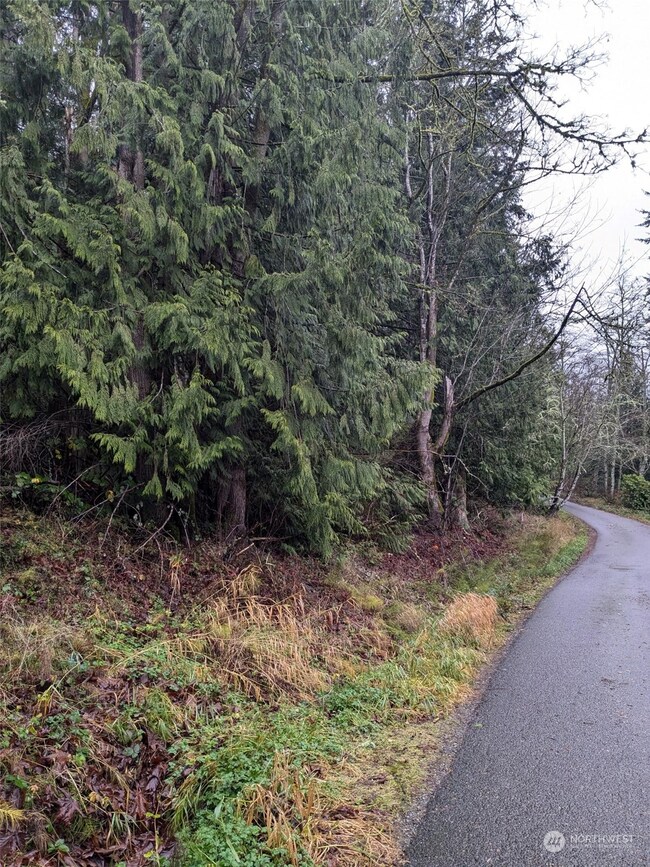 0 West Rd, Sedro Woolley, WA 98284 - photo 6