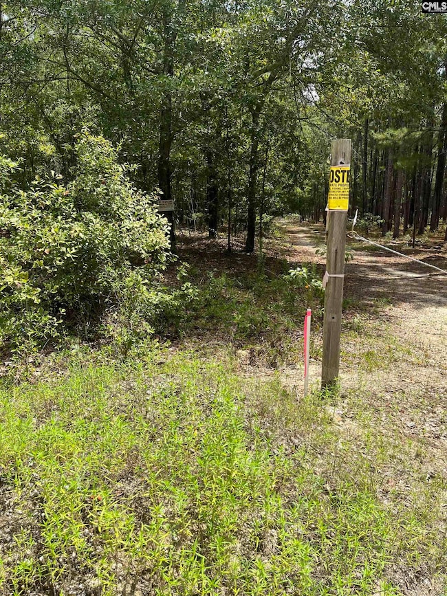 BHL 6 Boise Cascade Rd unit BHL 6, Bethune, SC 29009 - photo 3