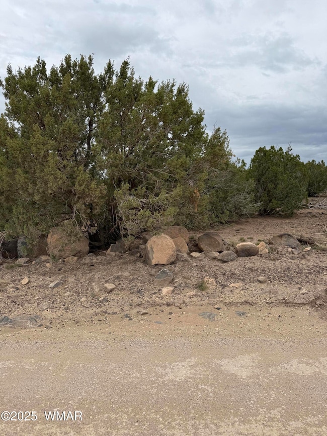 55 Ponderosa Dr, Concho, AZ 85924 - photo 6