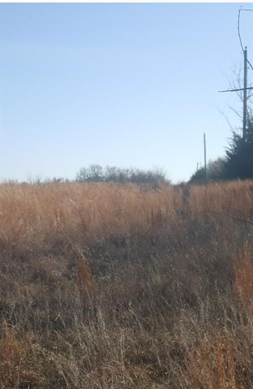 000 Dripping Spring Rd, Denison, TX 75021 - photo 4