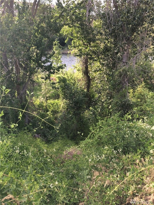 0 Lot 8 Burma Rd unit 1153300, Methow, WA 98834 - photo 6