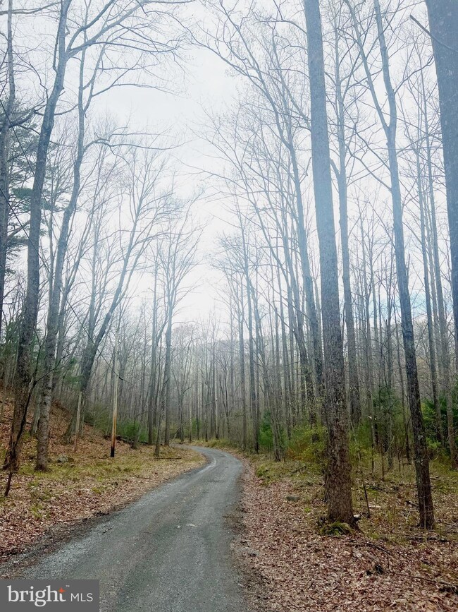 0 Circle Rd unit VAMA2001834, Stanardsville, VA 22973 - photo 3