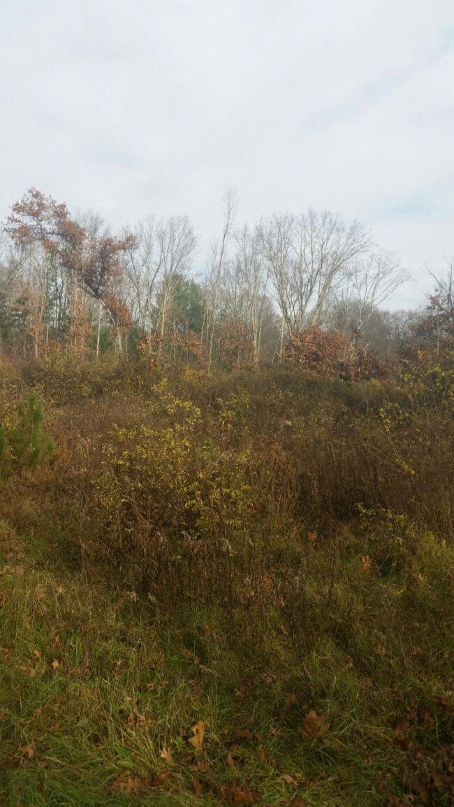 1821 W Warren Rd, Bitely, MI 49309 - photo 7