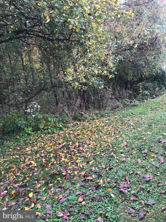 3 Dove Ln, Royersford, PA 19468 - photo 6