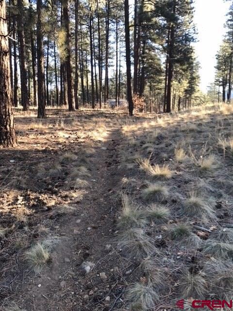 Hiking Trail starts in your back yard