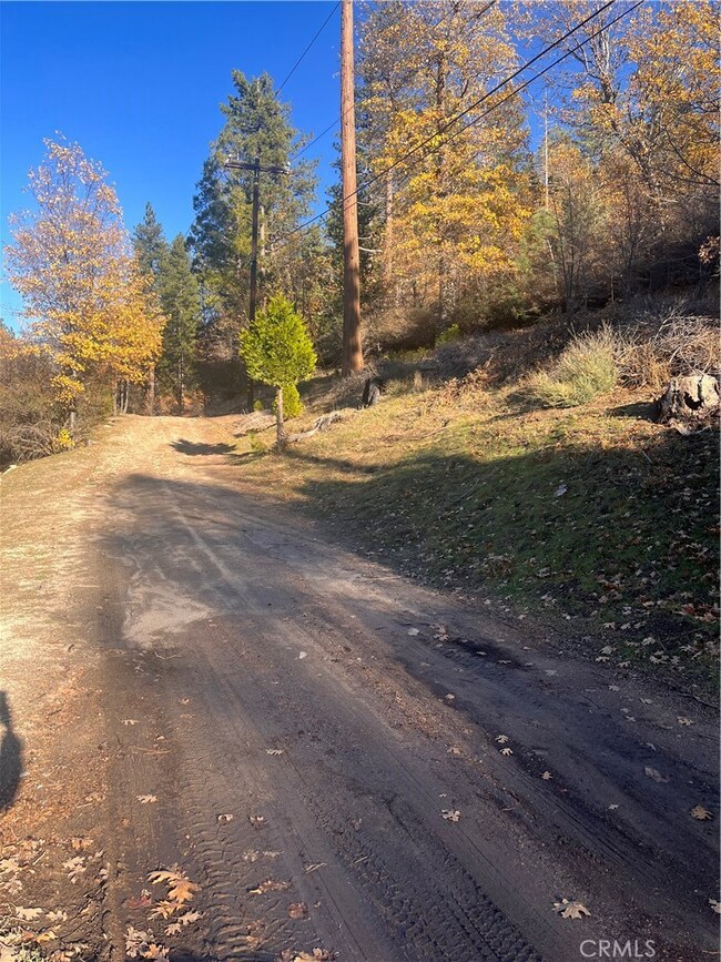 29834 Juniper Dr, Cedar Glen, CA 92321 - photo 5