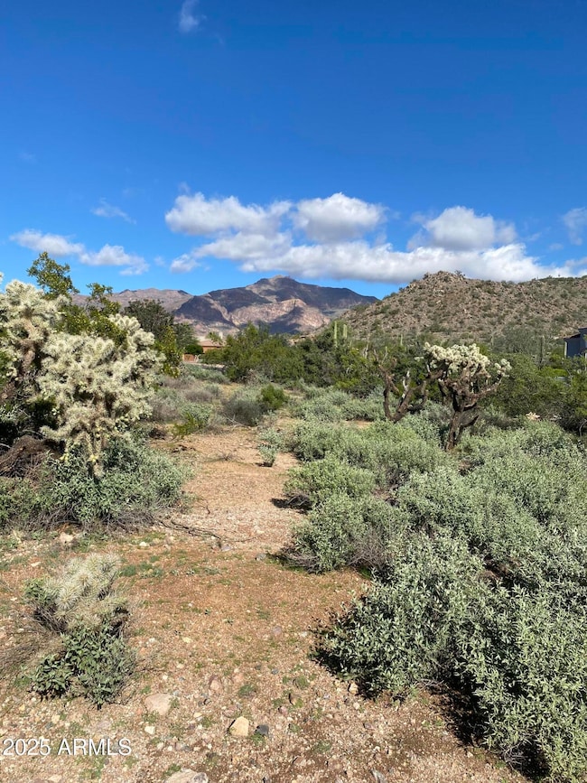 0 E Sunset Peak Rd unit 6951173, Gold Canyon, AZ 85118 - photo 7