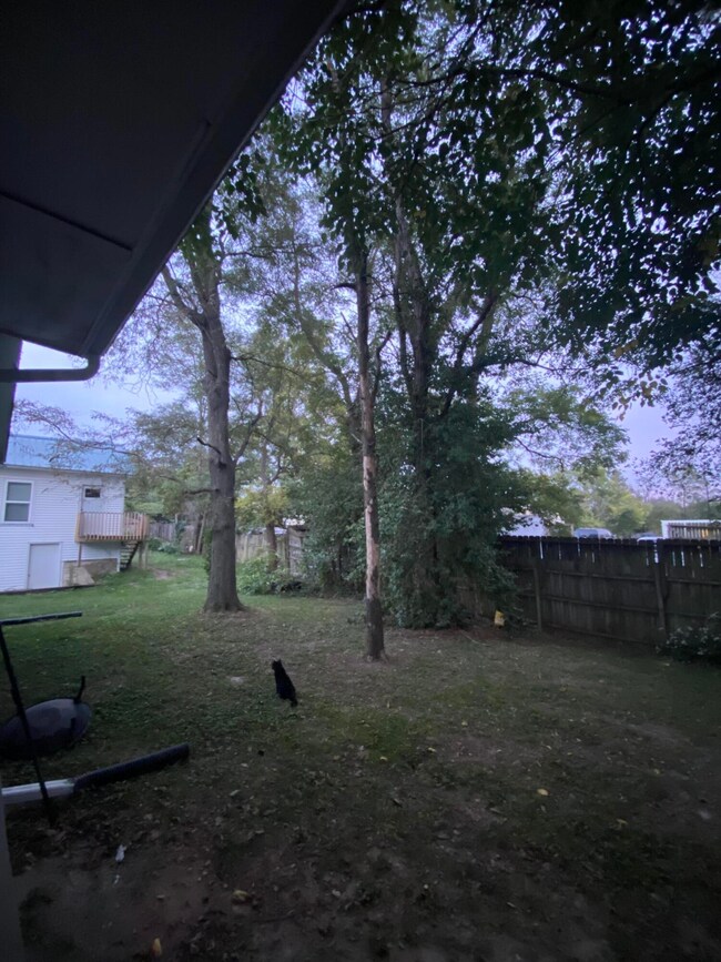 210 W 5th yard