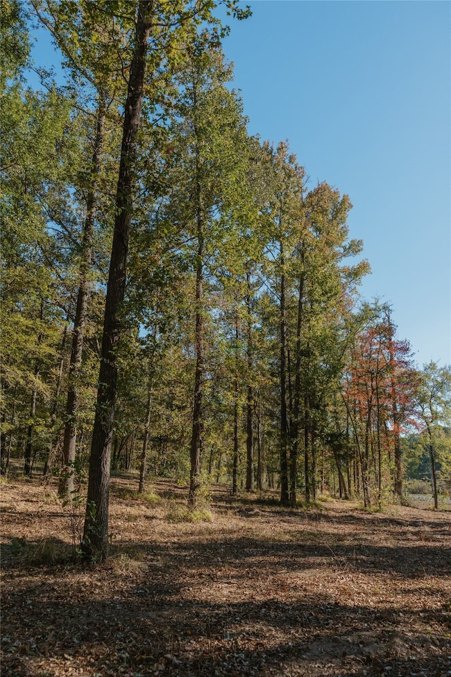 Lot 16 Private Road 5948, Yantis, TX 75497 - photo 3