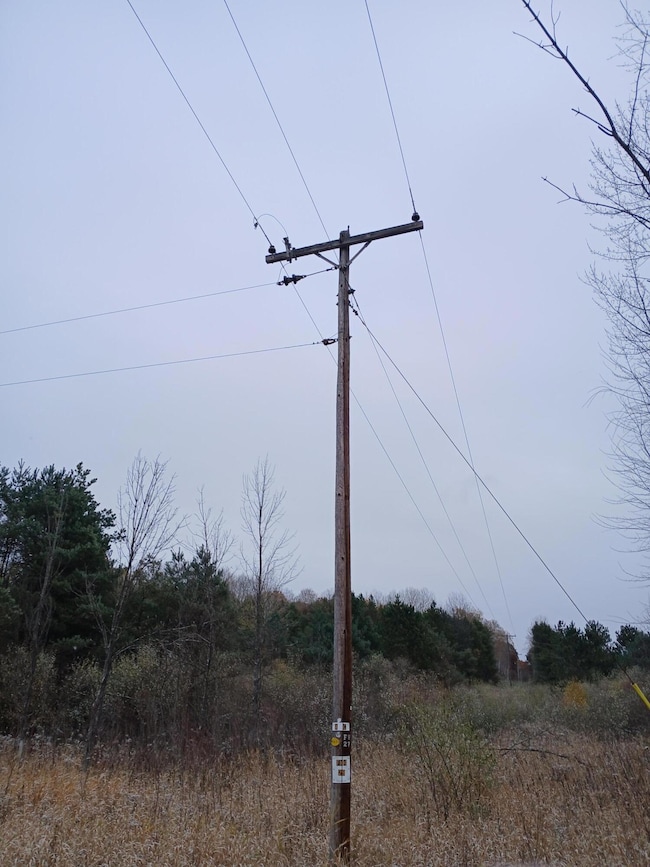 0 E Beyer Rd, Fountain, MI 49410 - photo 4