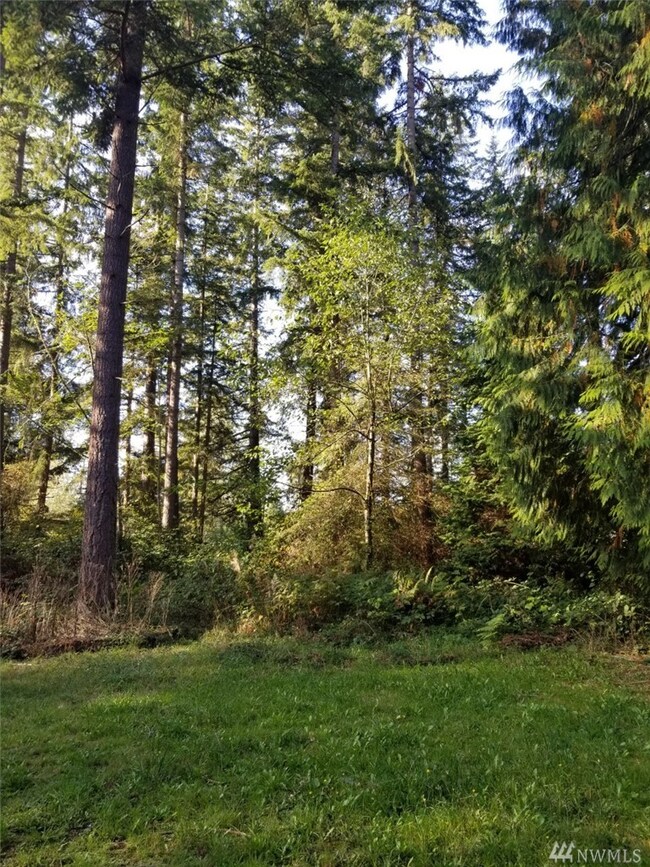 28620 Orting Kapowsin Hwy E, Graham, WA 98338 - photo 3