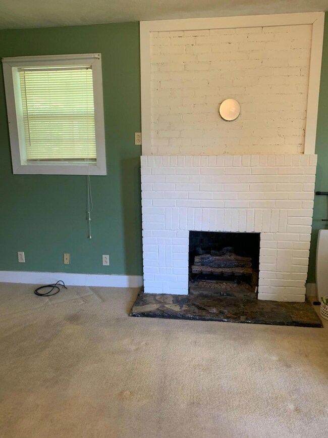 155 E Grand Ave, Johnson City, TN 37601 - photo 7