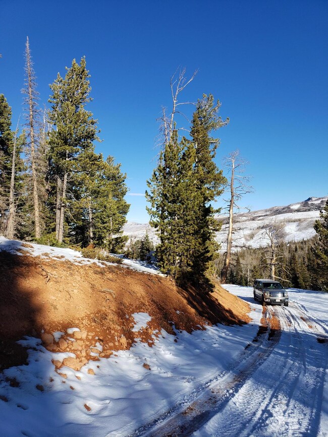 0 Navajo Trail unit Lot 25,Blk B, Ski Vi, Brian Head, UT 84719 - photo 4