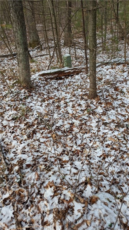 Telephone service on site